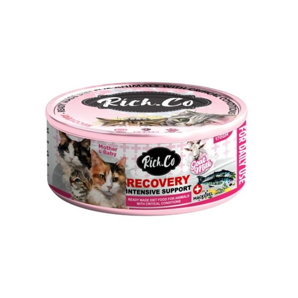 inv_product-1749201571258 Rich.co 170g Recovery Intensive Support Wet Cat Food