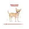 inv_product-1667286542481 Royal Canin Chihuahua Adult 1.5kg Dry Dog Food