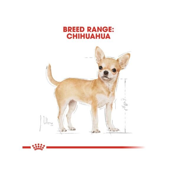 inv_product-1667286542481 Royal Canin Chihuahua Adult 1.5kg Dry Dog Food