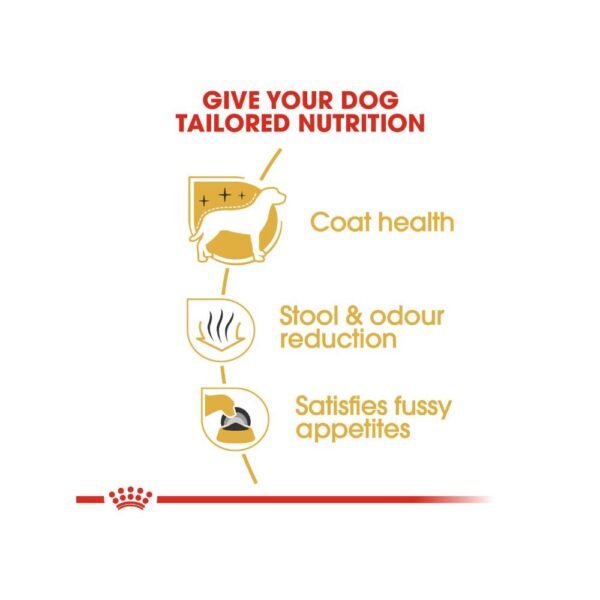 inv_product-166728877115 Royal Canin Maltese Adult 1.5kg Dry Dog Food
