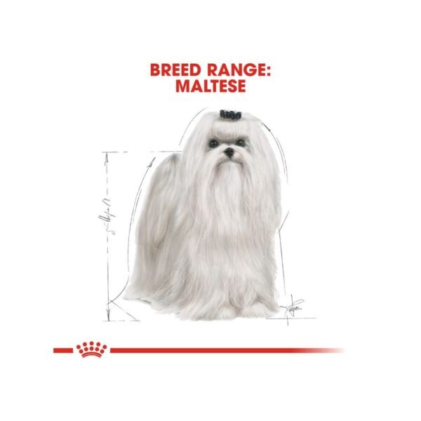 inv_product-1667288771439 Royal Canin Maltese Adult 1.5kg Dry Dog Food