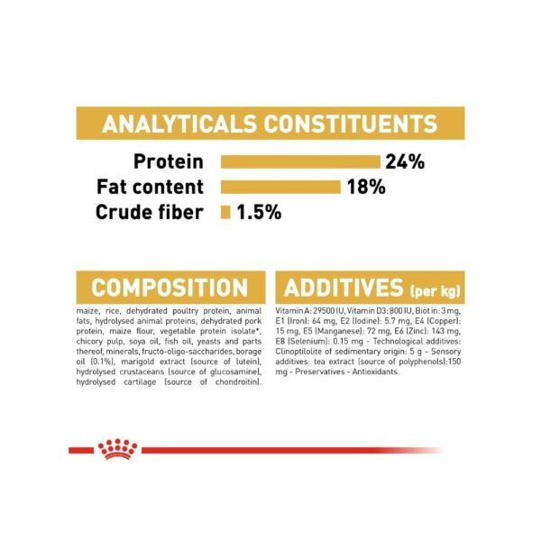 inv_product-1667288771974 Royal Canin Maltese Adult 1.5kg Dry Dog Food