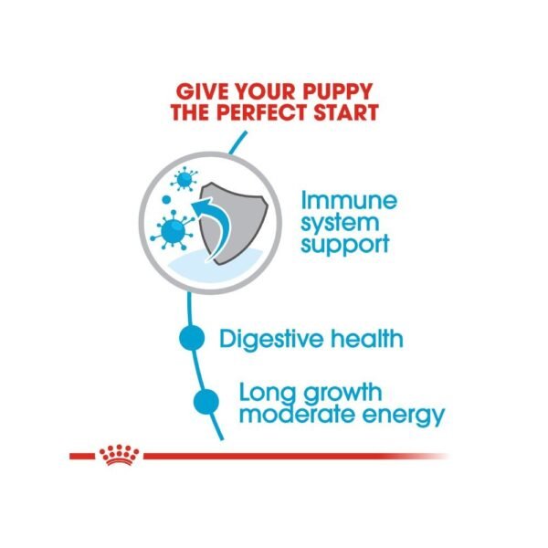 Royal Canin Maxi Puppy 15kg Dry Dog Food