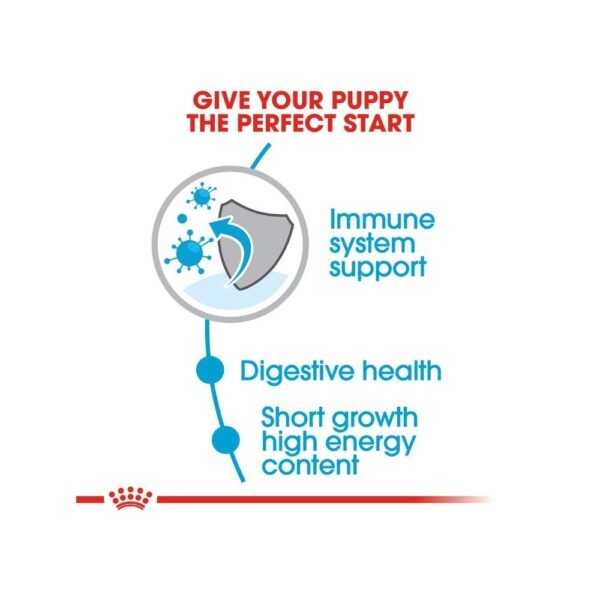 Royal Canin Medium Puppy 4kg Dry Dog Food