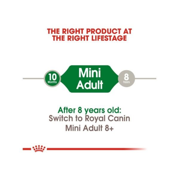 Royal Canin Mini Adult 2kg Dry Dog Food