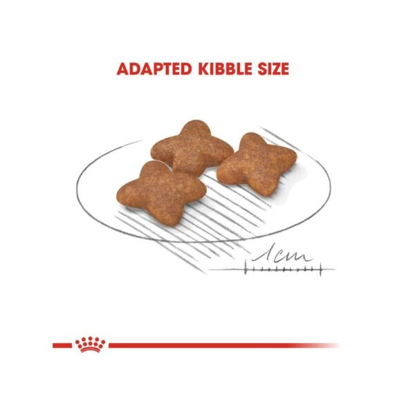 Royal Canin Mini Adult 2kg Dry Dog Food