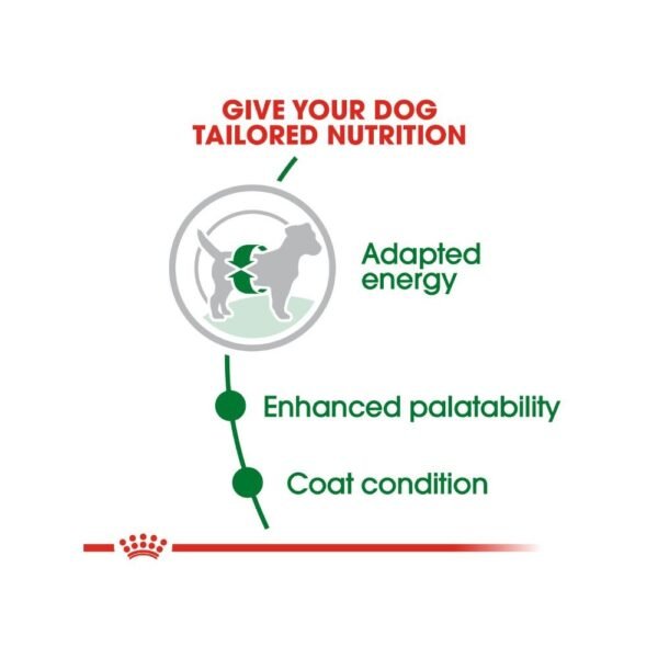 inv_product-1667377230146 Royal Canin Mini Adult 8kg Dry Dog Food