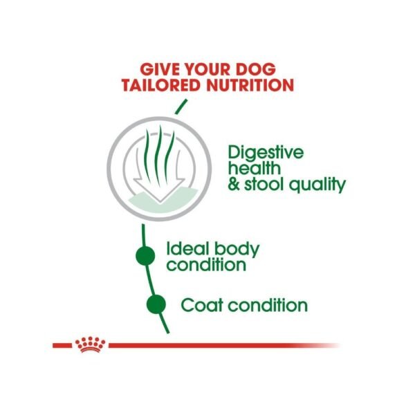 Royal Canin Mini Indoor Adult 7.5kg Dry Dog Food