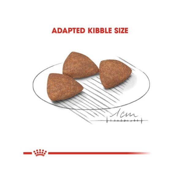 Royal Canin Mini Indoor Adult 7.5kg Dry Dog Food