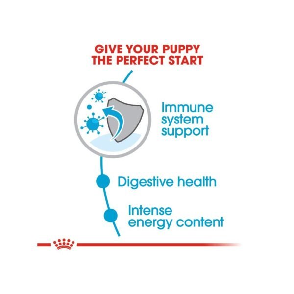 inv_product-1667387529644 Royal Canin Mini Puppy 2kg Dry Dog Food