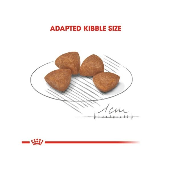 Royal Canin Xsmall Junior / Puppy 3kg Dry Dog Food