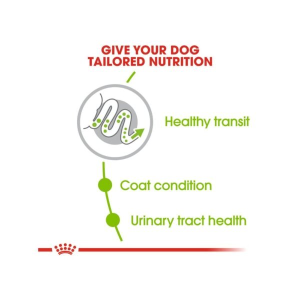 inv_product-1667461217462 Royal Canin Xsmall Adult 3kg Dry Dog Food