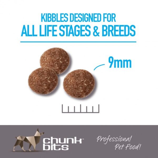 inv_product-1668159029736 Chunkbits Dog 13kg Sensi 27 Salmon & Tapioca Dry Dog Food