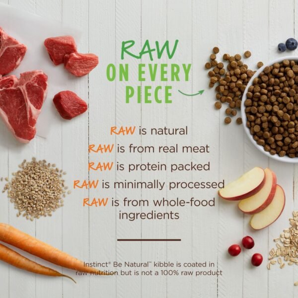 inv_product-1670319720803 Instinct Dog Be Natural 2kg Real Lamb & Oatmeal Recipe Dry Dog Food