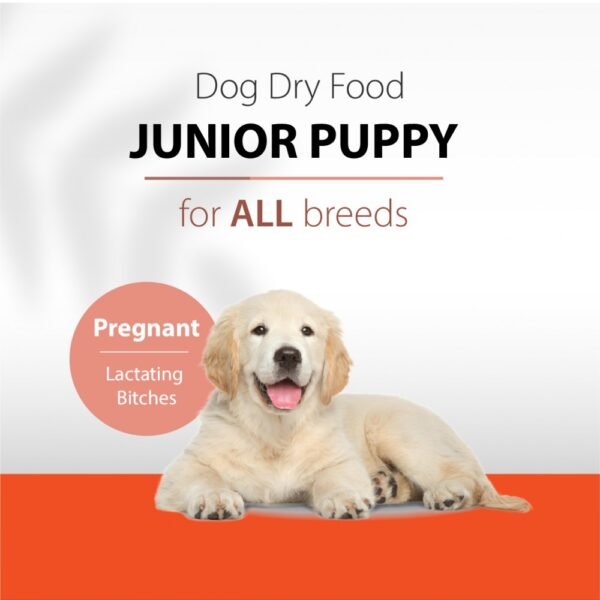 inv_product-1680690976671 Belif Dog Smartcare Junior Puppy All Breed 2.5kg Dry Dog Food