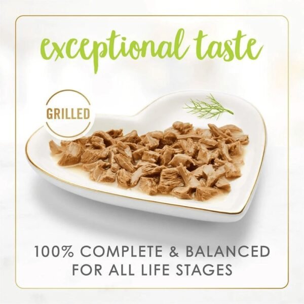 inv_product-1706076425551 Fancy Feast Grilled Salmon Feast in Gravy