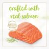 inv_product-1706076425760 Fancy Feast Grilled Salmon Feast in Gravy