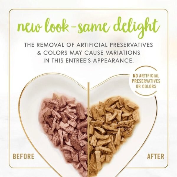 inv_product-170607642577 Fancy Feast Grilled Salmon Feast in Gravy