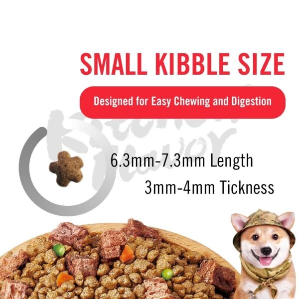 inv_product-1739846260675 Kitchen Flavor Dog 10kg Nature Gourmet Salmon For Beauty Dog For All Life Stages