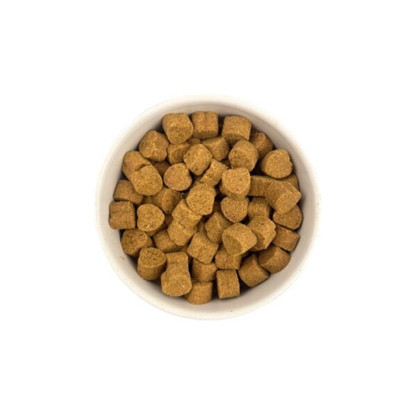 inv_product-1751353993576 Rich Choice Super Concentrated Lecithin Extract 20 Nuggets